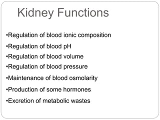 •Regulation of blood ionic composition
•Regulation of blood pH
•Regulation of blood volume
•Regulation of blood pressure
•Maintenance of blood osmolarity
•Production of some hormones
•Excretion of metabolic wastes
Kidney Functions
 