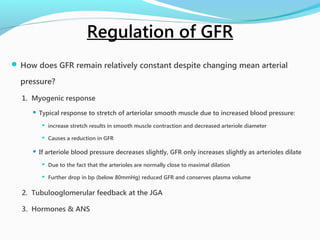  How does GFR remain relatively constant despite changing mean arterial
pressure?
1. Myogenic response
 Typical response to stretch of arteriolar smooth muscle due to increased blood pressure:
 increase stretch results in smooth muscle contraction and decreased arteriole diameter
 Causes a reduction in GFR
 If arteriole blood pressure decreases slightly, GFR only increases slightly as arterioles dilate
 Due to the fact that the arterioles are normally close to maximal dilation
 Further drop in bp (below 80mmHg) reduced GFR and conserves plasma volume
2. Tubulooglomerular feedback at the JGA
3. Hormones & ANS
Regulation of GFR
 