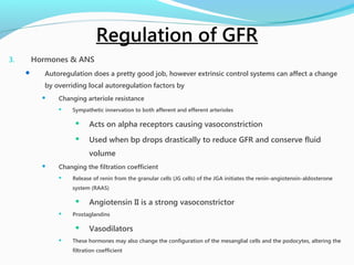 3. Hormones & ANS
 Autoregulation does a pretty good job, however extrinsic control systems can affect a change
by overriding local autoregulation factors by
 Changing arteriole resistance
 Sympathetic innervation to both afferent and efferent arterioles
 Acts on alpha receptors causing vasoconstriction
 Used when bp drops drastically to reduce GFR and conserve fluid
volume
 Changing the filtration coefficient
 Release of renin from the granular cells (JG cells) of the JGA initiates the renin-angiotensin-aldosterone
system (RAAS)
 Angiotensin II is a strong vasoconstrictor
 Prostaglandins
 Vasodilators
 These hormones may also change the configuration of the mesanglial cells and the podocytes, altering the
filtration coefficient
Regulation of GFR
 