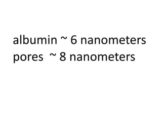 albumin ~ 6 nanometers
pores ~ 8 nanometers
 