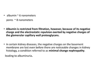 • albumin ~ 6 nanometers
pores ~ 8 nanometers
• Albumin is restricted from filtration, however, because of its negative
charge and the electrostatic repulsion exerted by negative charges of
the glomerular capillary wall proteoglycans.
• In certain kidney diseases, the negative charges on the basement
membrane are lost even before there are noticeable changes in kidney
histology, a condition referred to as minimal change nephropathy.
leading to albuminuria.
 
