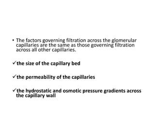 • The factors governing filtration across the glomerular
capillaries are the same as those governing filtration
across all other capillaries.
the size of the capillary bed
the permeability of the capillaries
the hydrostatic and osmotic pressure gradients across
the capillary wall
 