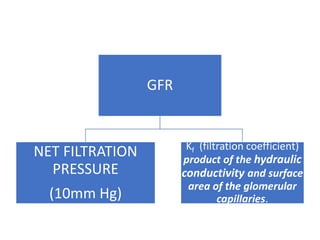 GFR
NET FILTRATION
PRESSURE
(10mm Hg)
Kf (filtration coefficient)
product of the hydraulic
conductivity and surface
area of the glomerular
capillaries.
 