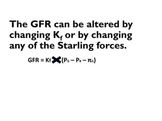 The GFR can be altered by
changing Kf or by changing
any of the Starling forces.
GFR = Kf (PG – PB – πG)
 