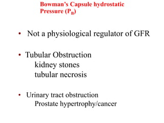 Bowman’s Capsule hydrostatic
Pressure (PB)
• Not a physiological regulator of GFR
• Tubular Obstruction
kidney stones
tubular necrosis
• Urinary tract obstruction
Prostate hypertrophy/cancer
 