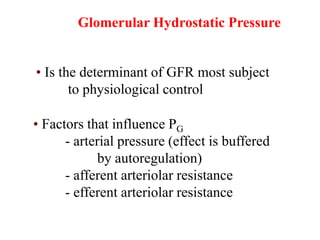 Glomerular Hydrostatic Pressure (PG)
• Is the determinant of GFR most subject
to physiological control
• Factors that influence PG
- arterial pressure (effect is buffered
by autoregulation)
- afferent arteriolar resistance
- efferent arteriolar resistance
 