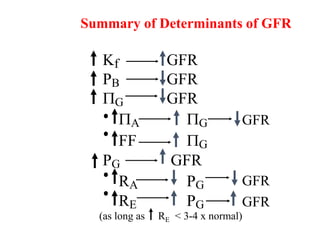 Kf GFR
PB GFR
PG GFR
PA PG
FF PG
PG GFR
RA PG
RE PG
Summary of Determinants of GFR
GFR
GFR
GFR
(as long as RE < 3-4 x normal)
 