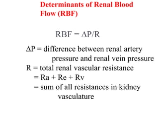 Determinants of Renal Blood
Flow (RBF)
RBF = P/R
P = difference between renal artery
pressure and renal vein pressure
R = total renal vascular resistance
= Ra + Re + Rv
= sum of all resistances in kidney
vasculature
 