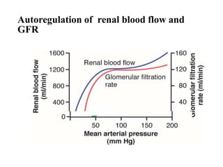 Autoregulation of renal blood flow and
GFR
 