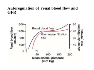 Autoregulation of renal blood flow and
GFR
 