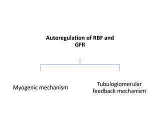 Autoregulation of RBF and
GFR
Myogenic mechanism
Tubuloglomerular
feedback mechanism
 
