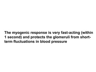 The myogenic response is very fast-acting (within
1 second) and protects the glomeruli from short-
term fluctuations in blood pressure
 