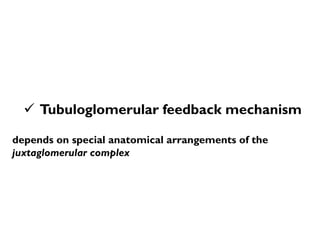  Tubuloglomerular feedback mechanism
depends on special anatomical arrangements of the
juxtaglomerular complex
 