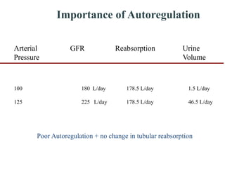 100 180 L/day 178.5 L/day 1.5 L/day
125 225 L/day 178.5 L/day 46.5 L/day
Importance of Autoregulation
Arterial GFR Reabsorption Urine
Pressure Volume
Poor Autoregulation + no change in tubular reabsorption
 