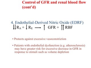 4. Endothelial-Derived Nitric Oxide (EDRF)
RA + RE GFR + RBF
• Protects against excessive vasoconstriction
• Patients with endothelial dysfunction (e.g. atherosclerosis)
may have greater risk for excessive decrease in GFR in
response to stimuli such as volume depletion
Control of GFR and renal blood flow
(cont’d)
 