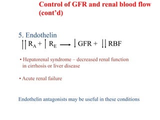 5. Endothelin
RA + RE GFR + RBF
• Hepatorenal syndrome – decreased renal function
in cirrhosis or liver disease
• Acute renal failure
Endothelin antagonists may be useful in these conditions
Control of GFR and renal blood flow
(cont’d)
 