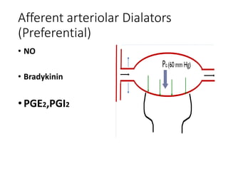 Afferent arteriolar Dialators
(Preferential)
• NO
• Bradykinin
•PGE2,PGI2
 