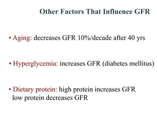 Other Factors That Influence GFR
• Aging: decreases GFR 10%/decade after 40 yrs
• Hyperglycemia: increases GFR (diabetes mellitus)
• Dietary protein: high protein increases GFR
low protein decreases GFR
 