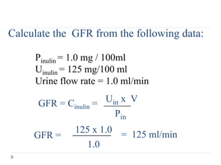 Calculate the GFR from the following data:
Pinulin = 1.0 mg / 100ml
Uinulin = 125 mg/100 ml
Urine flow rate = 1.0 ml/min
GFR =
125 x 1.0
1.0
= 125 ml/min
GFR = Cinulin =
Pin
Uin x V
 
