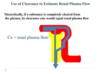 Theoretically, if a substance is completely cleared from
the plasma, its clearance rate would equal renal plasma flow
Use of Clearance to Estimate Renal Plasma Flow
Cx = renal plasma flow
 