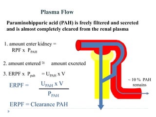 Paraminohippuric acid (PAH) is freely filtered and secreted
and is almost completely cleared from the renal plasma
Use of PAH Clearance to Estimate Renal
Plasma Flow
1. amount enter kidney =
RPF x PPAH
3. ERPF x Ppah = UPAH x V
ERPF = UPAH x V
PPAH
ERPF = Clearance PAH
2. amount entered = amount excreted
~
~ 10 % PAH
remains
 
