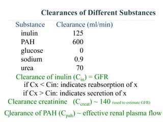 Clearances of Different Substances
Clearance of inulin (Cin) = GFR
if Cx < Cin: indicates reabsorption of x
Clearance of PAH (Cpah) ~ effective renal plasma flow
Substance Clearance (ml/min)
inulin 125
PAH 600
glucose 0
sodium 0.9
urea 70
Clearance creatinine (Ccreat) ~ 140 (used to estimate GFR)
if Cx > Cin: indicates secretion of x
 