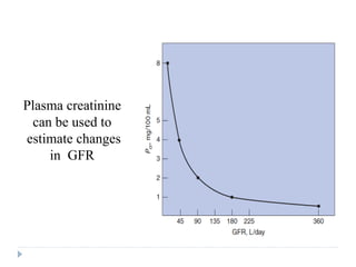 Plasma creatinine
can be used to
estimate changes
in GFR
 