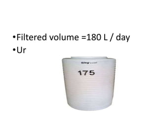 •Filtered volume =180 L / day
•Urine volume = I.5 L /day
 
