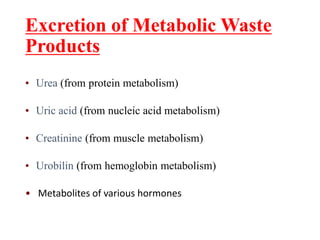 Excretion of Metabolic Waste
Products
• Urea (from protein metabolism)
• Uric acid (from nucleic acid metabolism)
• Creatinine (from muscle metabolism)
• Urobilin (from hemoglobin metabolism)
• Metabolites of various hormones
 