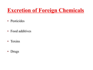 Excretion of Foreign Chemicals
• Pesticides
• Food additives
• Toxins
• Drugs
 