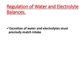 Regulation of Water and Electrolyte
Balances.
Excretion of water and electrolytes must
precisely match intake
 