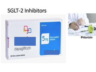 SGLT-2 Inhibitors
Phlorizin
 