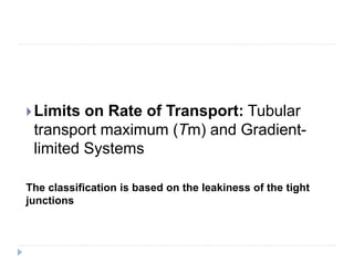 Limits on Rate of Transport: Tubular
transport maximum (Tm) and Gradient-
limited Systems
The classification is based on the leakiness of the tight
junctions
 