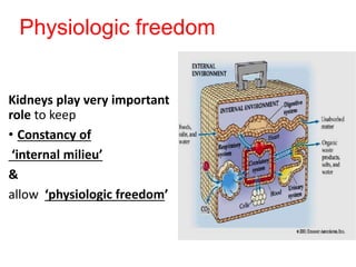 Physiologic freedom
Kidneys play very important
role to keep
• Constancy of
‘internal milieu’
&
allow ‘physiologic freedom’
 