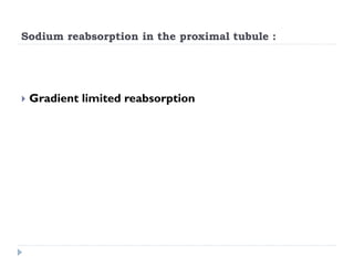 Sodium reabsorption in the proximal tubule :
 Gradient limited reabsorption
 