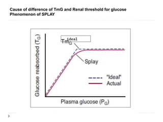 Cause of difference of TmG and Renal threshold for glucose
Phenomenon of SPLAY
 