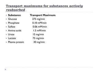 Transport maximums for substances actively
reabsorbed
 Substance Transport Maximum
 Glucose 375 mg/min
 Phosphate 0.10 mM/min
 Sulfate 0.06 mM/min
 Amino acids 1.5 mM/min
 Urate 15 mg/min
 Lactate 75 mg/min
 Plasma protein 30 mg/min
 