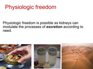 Physiologic freedom
Physiologic freedom is possible as kidneys can
modulate the processes of excretion according to
need.
 
