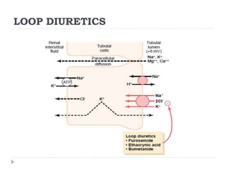 LOOP DIURETICS
 