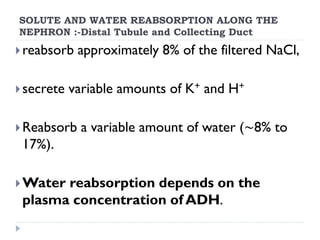 SOLUTE AND WATER REABSORPTION ALONG THE
NEPHRON :-Distal Tubule and Collecting Duct
reabsorb approximately 8% of the filtered NaCl,
secrete variable amounts of K+ and H+
Reabsorb a variable amount of water (∼8% to
17%).
Water reabsorption depends on the
plasma concentration of ADH.
 