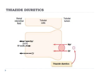 THIAZIDE DIURETICS
 