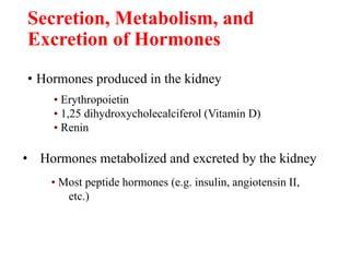 Secretion, Metabolism, and
Excretion of Hormones
• Hormones produced in the kidney
• Erythropoietin
• 1,25 dihydroxycholecalciferol (Vitamin D)
• Renin
• Hormones metabolized and excreted by the kidney
• Most peptide hormones (e.g. insulin, angiotensin II,
etc.)
 