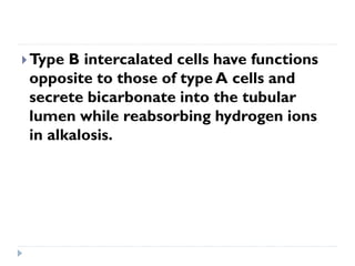 Type B intercalated cells have functions
opposite to those of type A cells and
secrete bicarbonate into the tubular
lumen while reabsorbing hydrogen ions
in alkalosis.
 