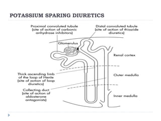 POTASSIUM SPARING DIURETICS
 