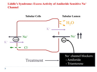 Tubular Lumen
Tubular Cells
Liddle’s Syndrome: Excess Activity of Amiloride Sensitive Na+
Channel
Na+
ATP
Cl-
K+
Na+
ATP
H2O
K+
Na+ channel blockers:
- Amiloride
- Triamterene
Treatment
 