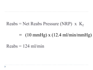 Peritubular Capillary Reabsorption
(cont’d)
Reabs = Net Reabs Pressure (NRP) x Kf
= (10 mmHg) x (12.4 ml/min/mmHg)
Reabs = 124 ml/min
 