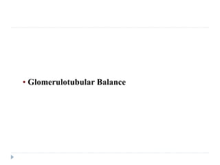 Regulation of Tubular Reabsorption
• Glomerulotubular Balance
 