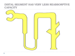 DISTAL SEGMENT HAS VERY LESS REABSORPTIVE
CAPACITY
 