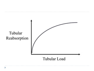 Glomerulotubular Balance
Tubular
Reabsorption
Tubular Load
 