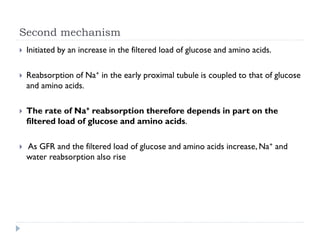Second mechanism
 Initiated by an increase in the filtered load of glucose and amino acids.
 Reabsorption of Na+ in the early proximal tubule is coupled to that of glucose
and amino acids.
 The rate of Na+ reabsorption therefore depends in part on the
filtered load of glucose and amino acids.
 As GFR and the filtered load of glucose and amino acids increase, Na+ and
water reabsorption also rise
 